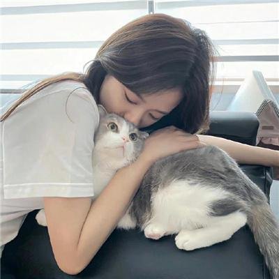 燕子盗